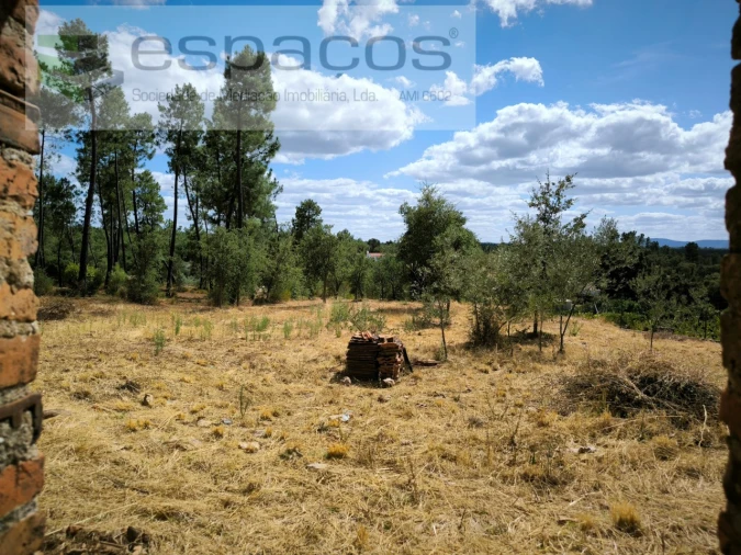 Quinta para Venda em Sarzedas Foto 5