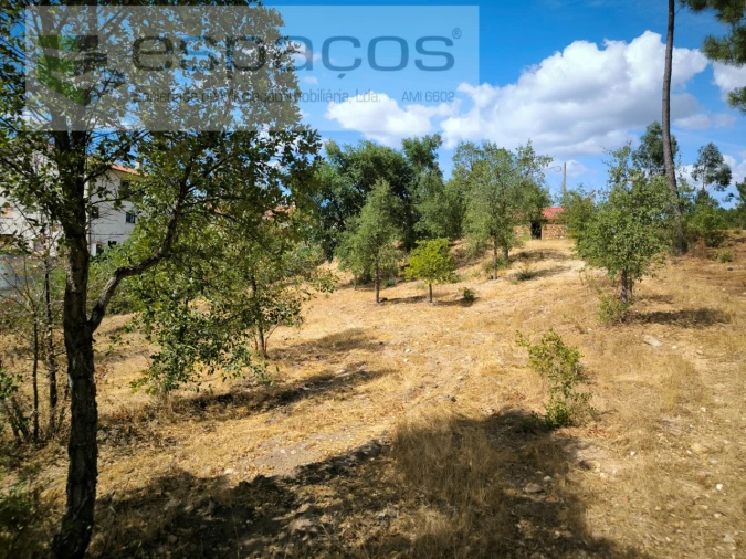 Quinta para Venda em Sarzedas Foto 8