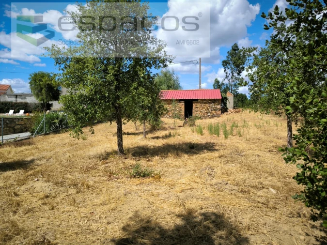 Quinta para Venda em Sarzedas