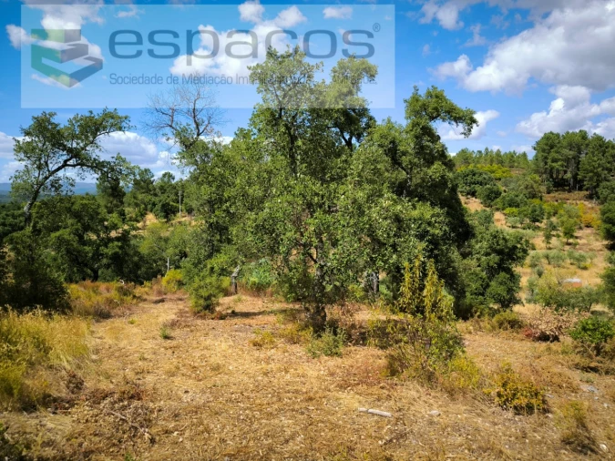 Quinta para Venda em Sarzedas Foto 20