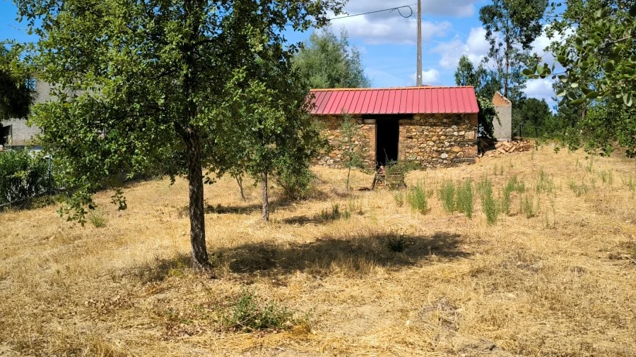 Quinta para Venda em Sarzedas