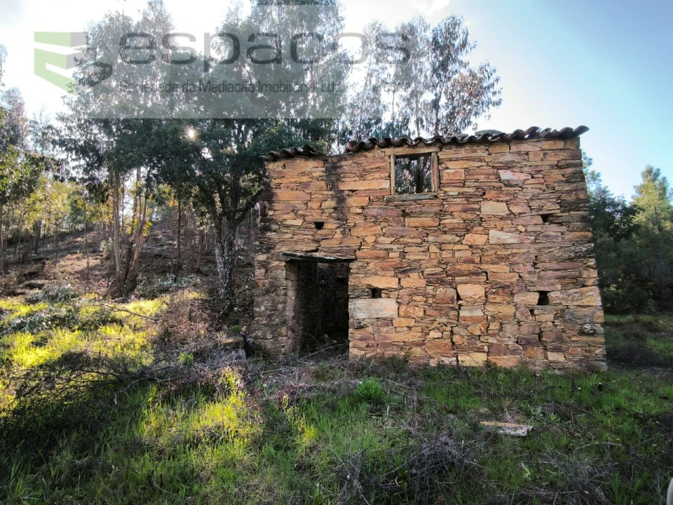 Quinta para Venda em Sarzedas Foto 2