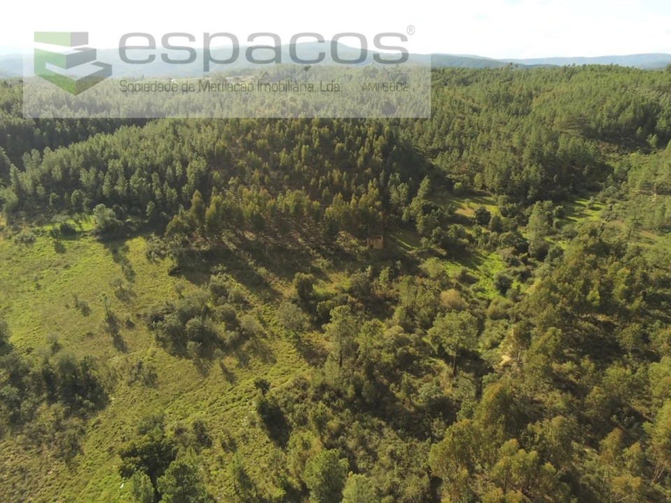 Quinta para Venda em Sarzedas Foto 4