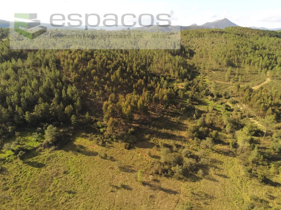 Quinta para Venda em Sarzedas Foto 5