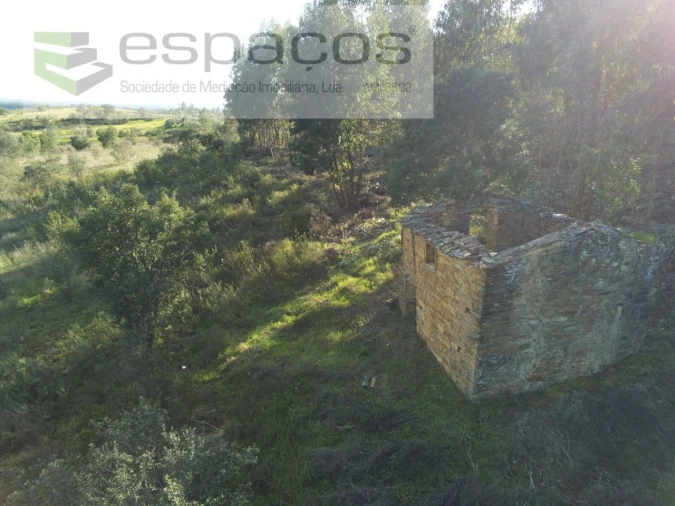 Quinta para Venda em Sarzedas Foto 3