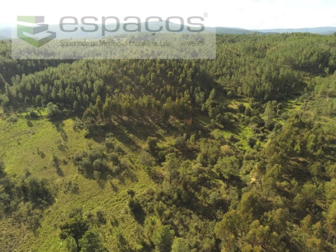 Quinta para Venda em Sarzedas Foto 4