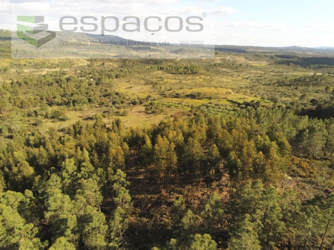 Quinta para Venda em Sarzedas Foto 7