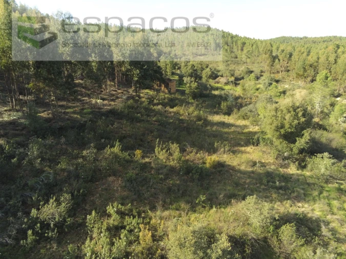 Quinta para Venda em Sarzedas Foto 9