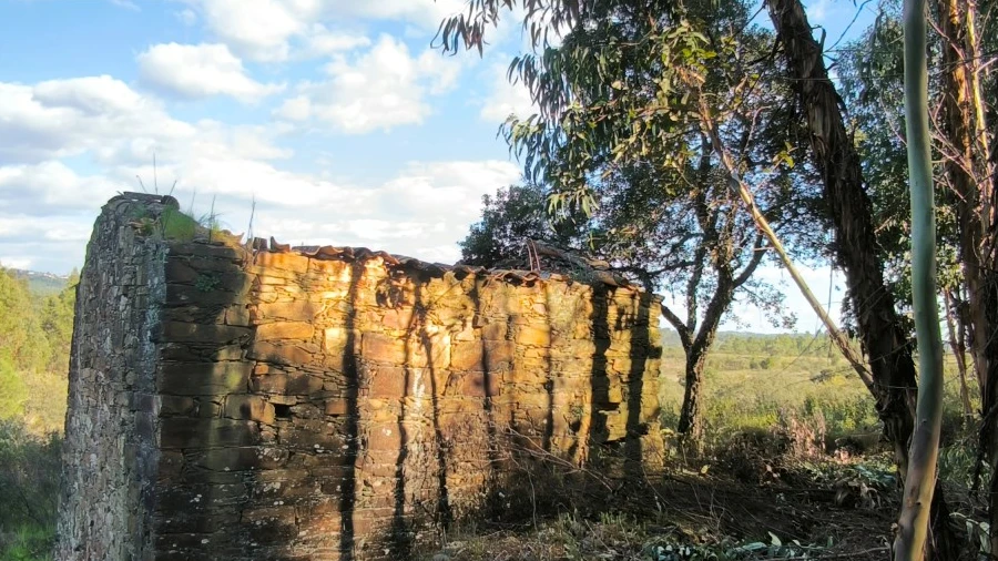 Quinta para Venda em Sarzedas