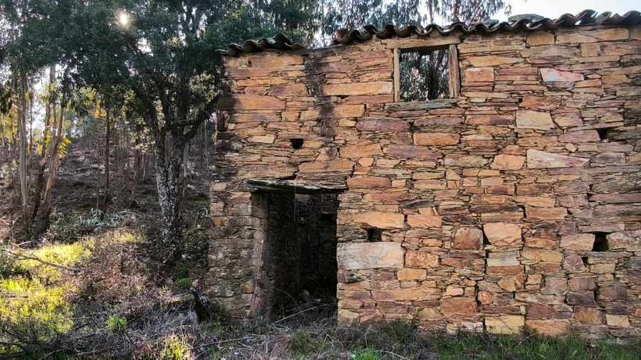 Quinta para Venda em Sarzedas