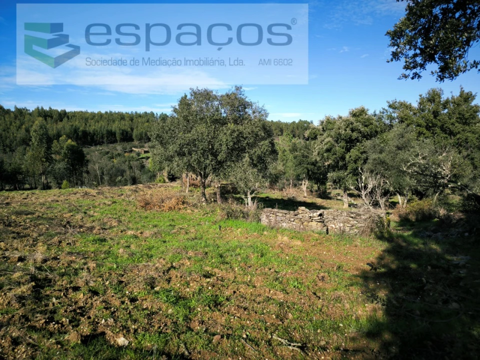 Quinta para Venda em Sarnadas de Rodão Foto 6