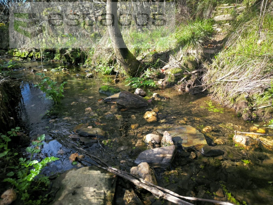 Quinta para Venda em Sarnadas de Rodão Foto 8