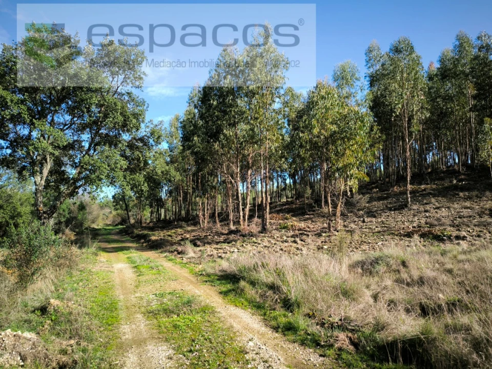 Quinta para Venda em Sarnadas de Rodão Foto 11
