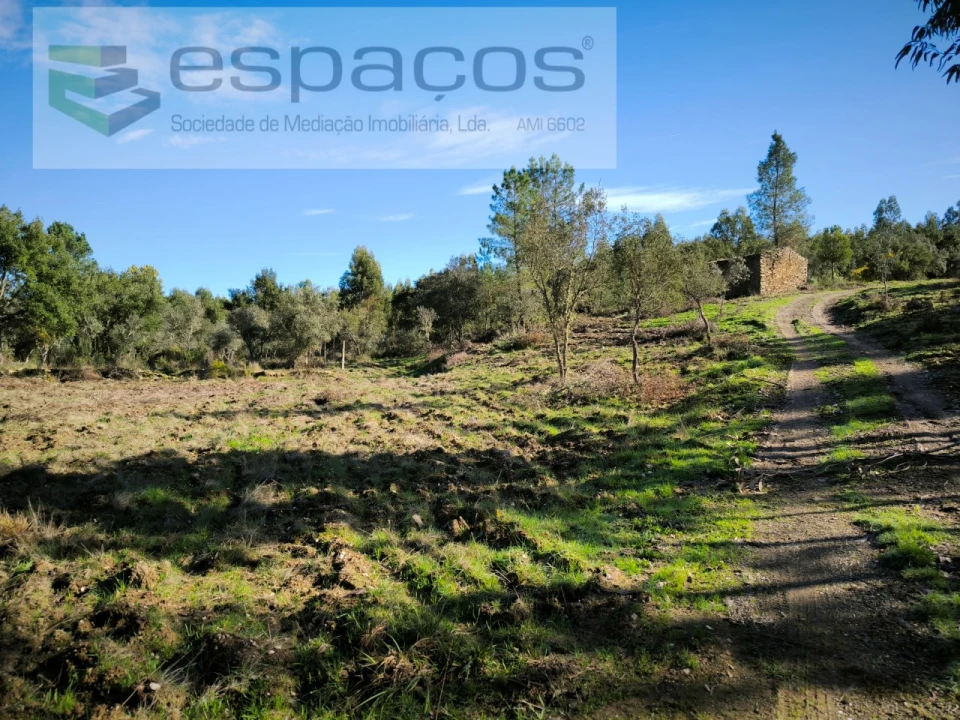 Quinta para Venda em Sarnadas de Rodão Foto 1