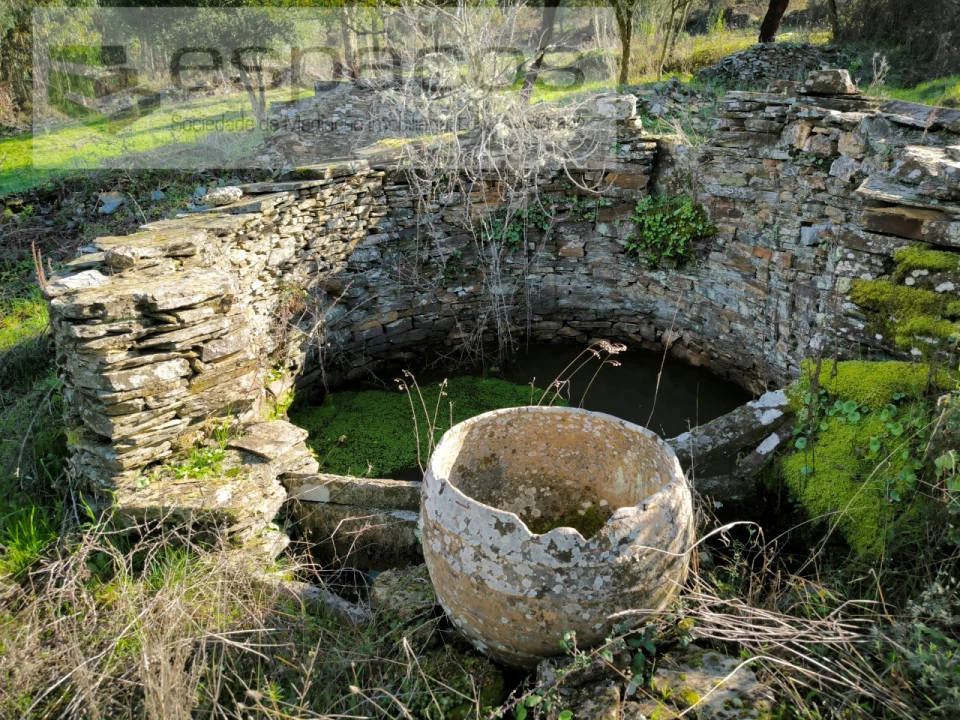 Quinta para Venda em Sarnadas de Rodão Foto 5