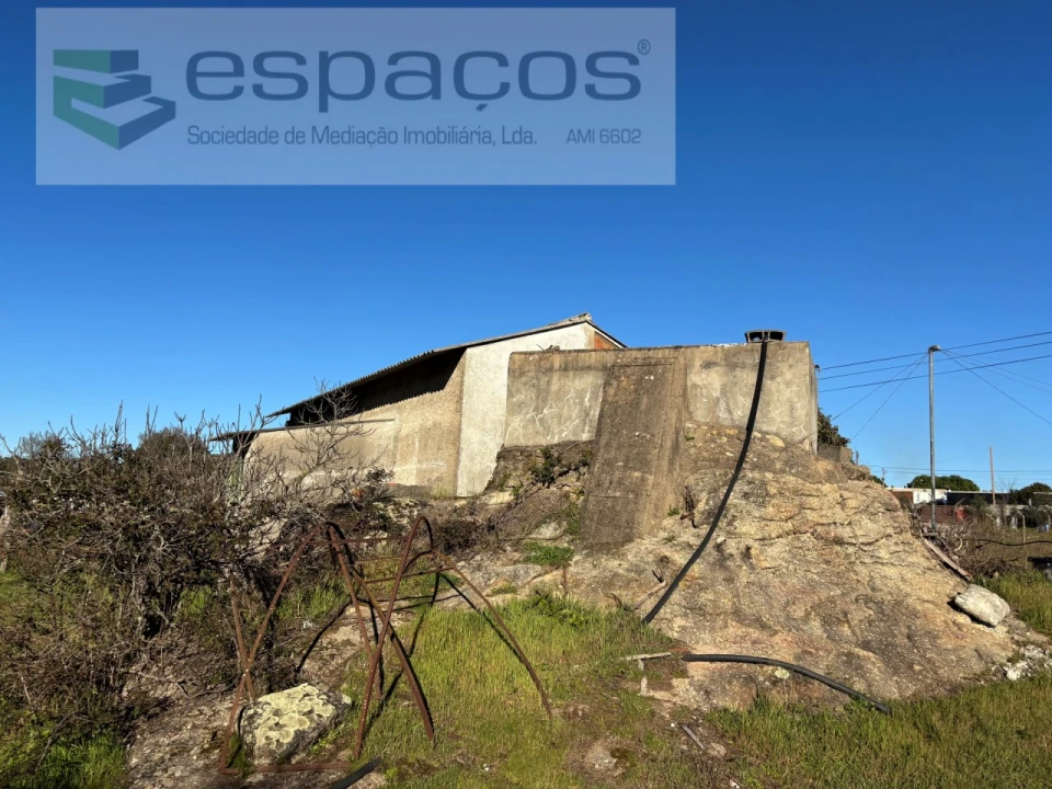 Quinta para Venda em Castelo Branco Foto 6