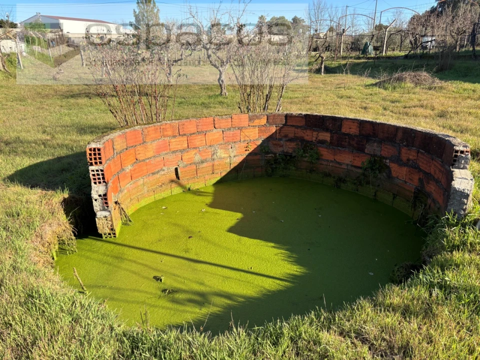 Quinta para Venda em Castelo Branco Foto 7