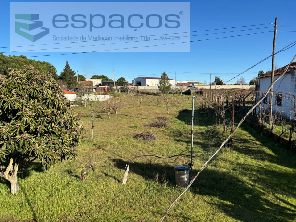 Quinta para Venda em Castelo Branco Foto 8