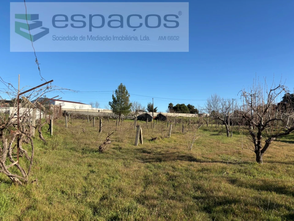 Quinta para Venda em Castelo Branco Foto 10