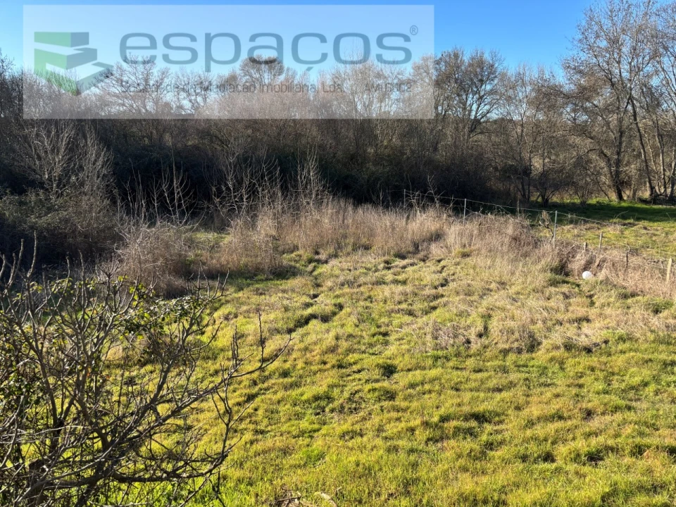 Quinta para Venda em Castelo Branco Foto 11