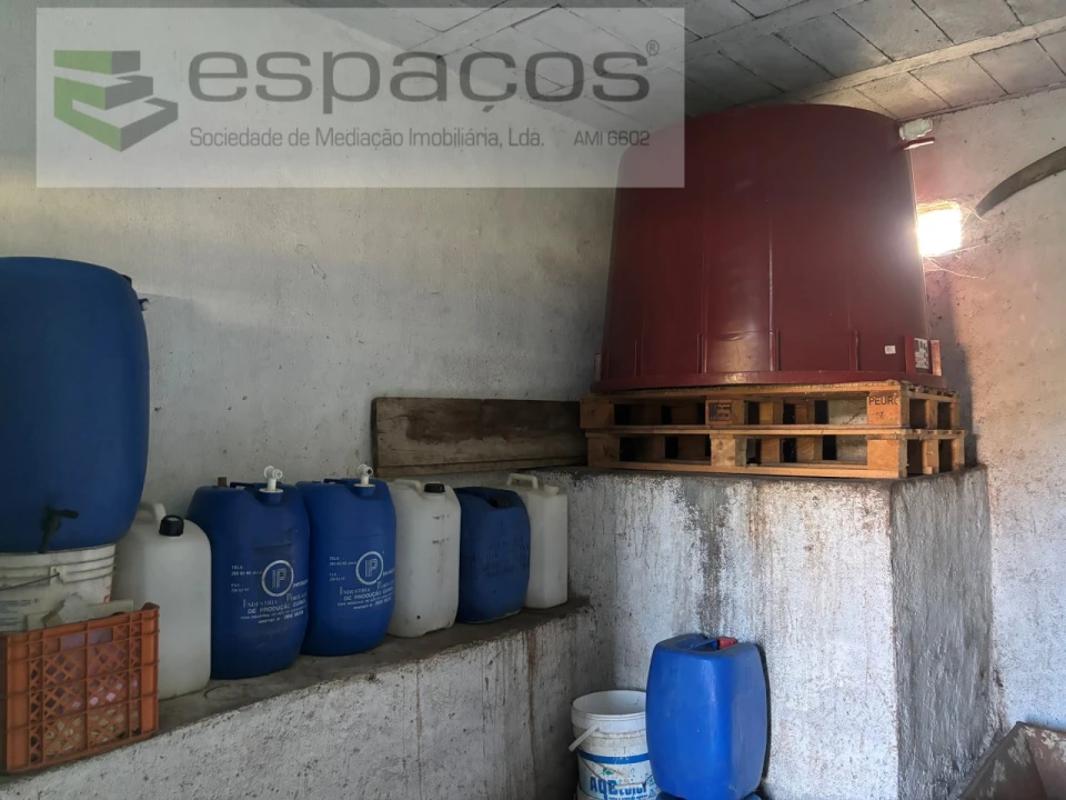 Quinta para Venda em Castelo Branco Foto 14