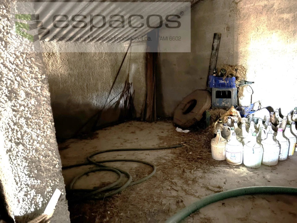 Quinta para Venda em Castelo Branco Foto 16