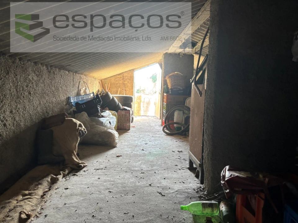 Quinta para Venda em Castelo Branco Foto 17