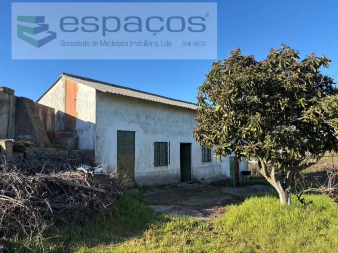 Quinta para Venda em Castelo Branco Foto 5