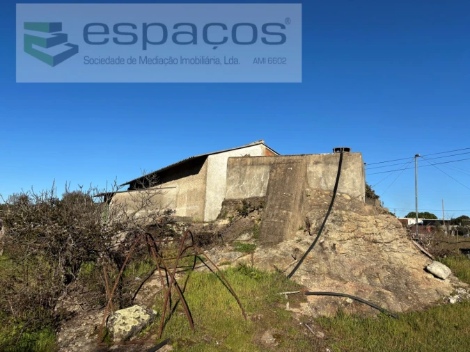 Quinta para Venda em Castelo Branco Foto 6