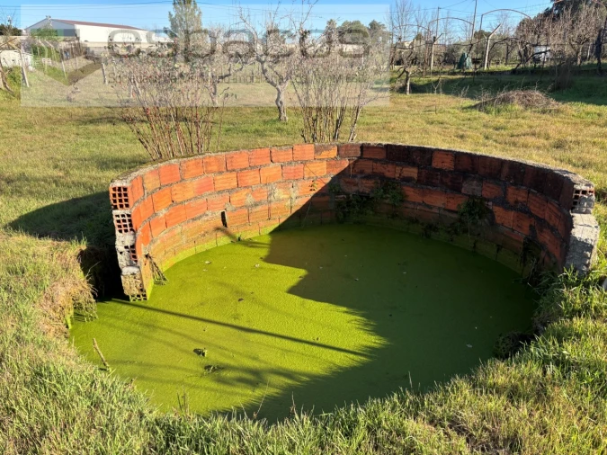 Quinta para Venda em Castelo Branco Foto 7