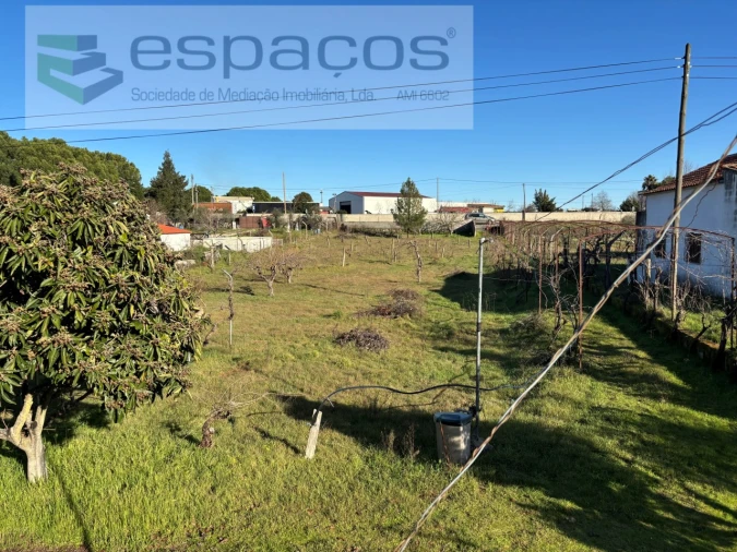 Quinta para Venda em Castelo Branco Foto 8