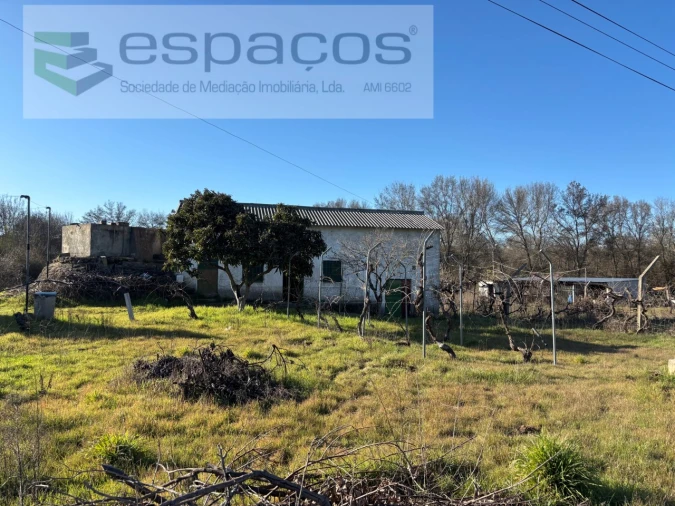 Quinta para Venda em Castelo Branco Foto 9