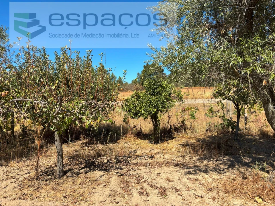 Quinta para Venda em Soalheira Foto 8