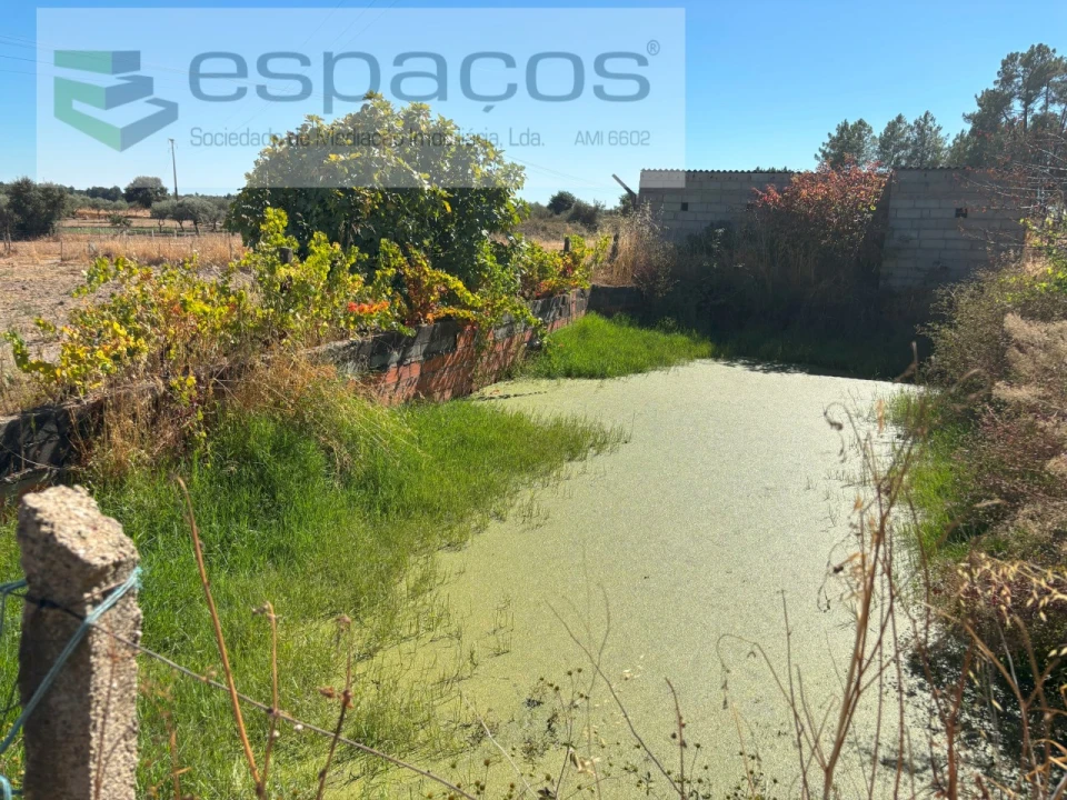 Quinta para Venda em Soalheira Foto 20