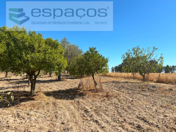 Quinta para Venda em Soalheira Foto 10