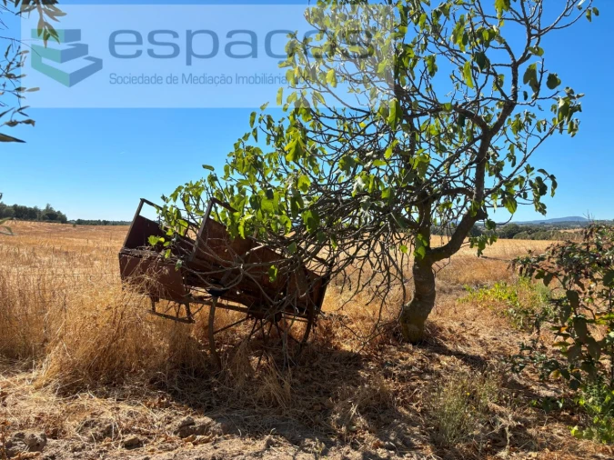 Quinta para Venda em Soalheira Foto 15