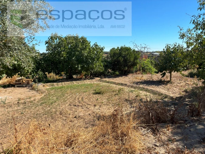 Quinta para Venda em Soalheira Foto 18