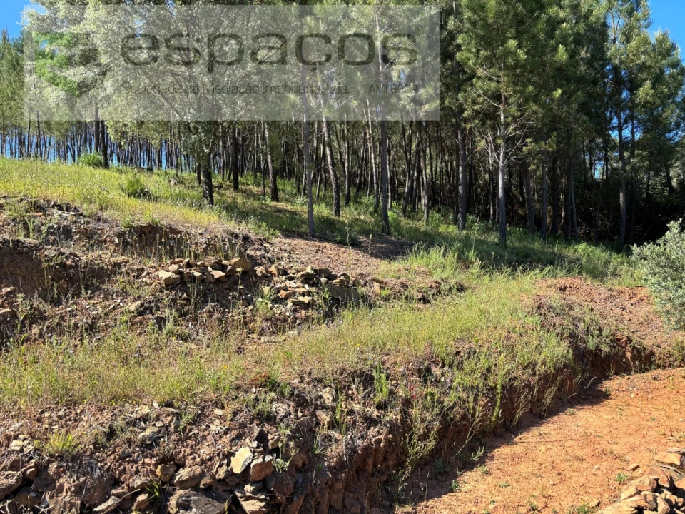 Quinta para Venda em Silvares Foto 6