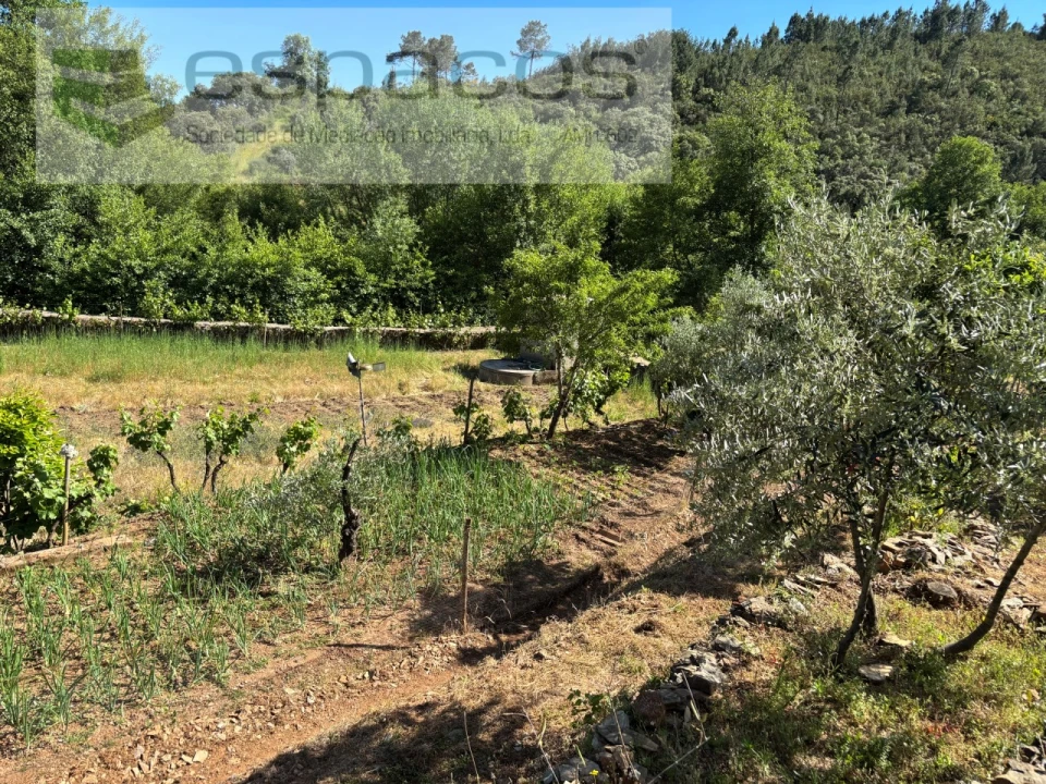 Quinta para Venda em Silvares Foto 7