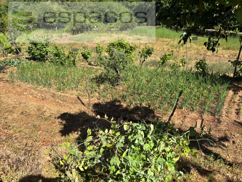 Quinta para Venda em Silvares Foto 4