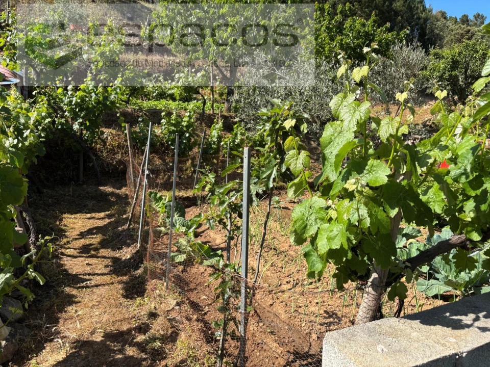 Quinta para Venda em Silvares Foto 15