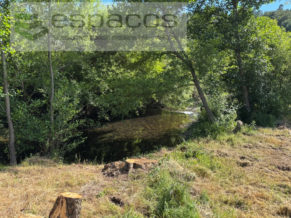 Quinta para Venda em Silvares Foto 3