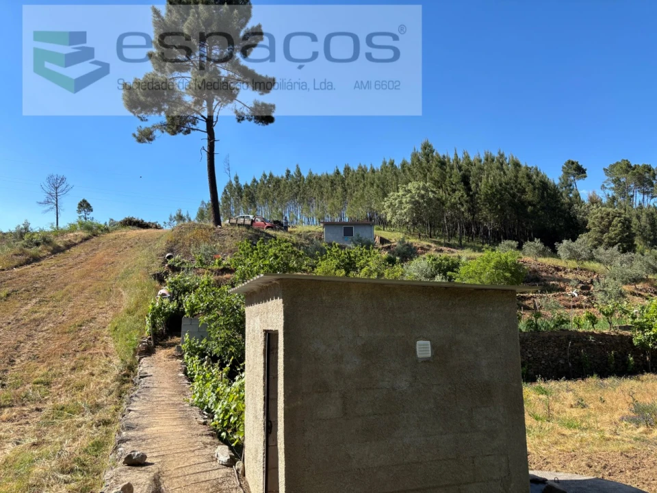 Quinta para Venda em Silvares Foto 18