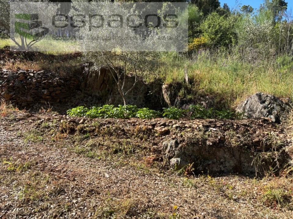 Quinta para Venda em Silvares Foto 30