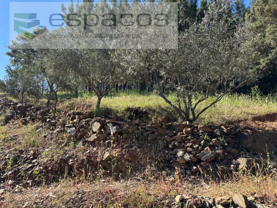 Quinta para Venda em Silvares Foto 34