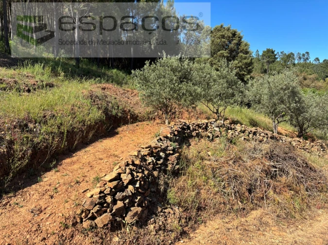 Quinta para Venda em Silvares Foto 5