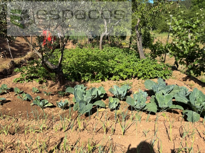 Quinta para Venda em Silvares Foto 14