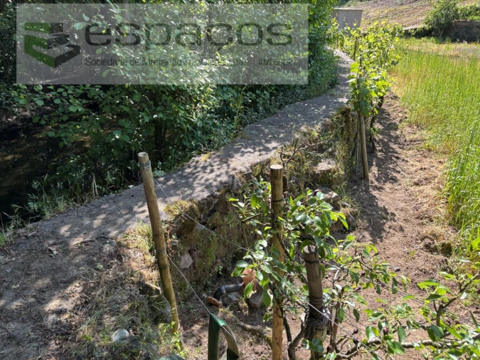 Quinta para Venda em Silvares Foto 23