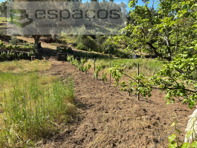 Quinta para Venda em Silvares Foto 25