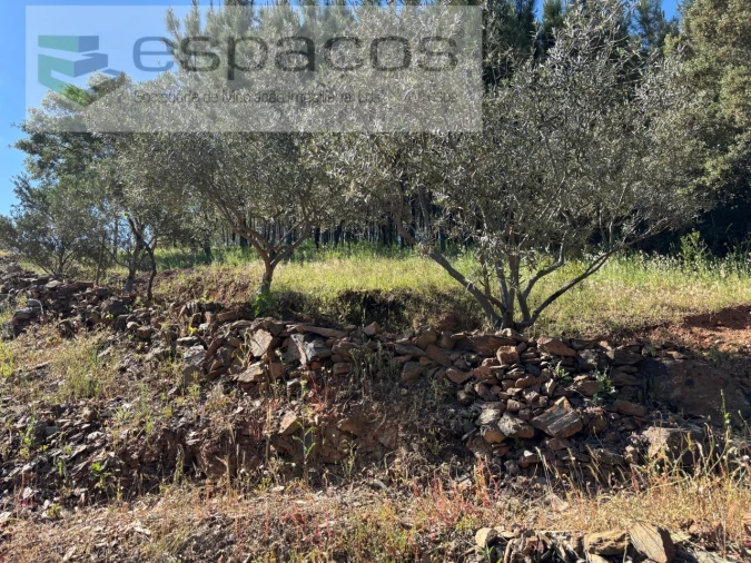 Quinta para Venda em Silvares Foto 34